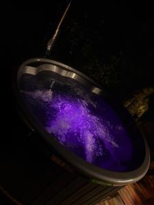 Casa de vacanță Cheșa