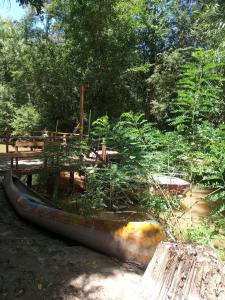 La Morenita del Delta