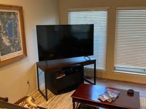 Lake Village Resort 3 bedroom condo