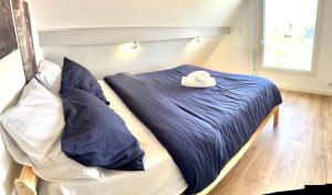 Spacieuse maison avec jardin privé proche Paris