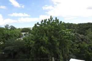 301 Batts Rock Beach Condos