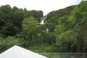 301 Batts Rock Beach Condos