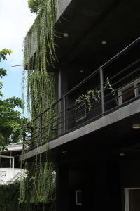 Green Canopy Mini Villa