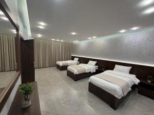 Taj Villa 2 - entire Villa in Deadsea front beach
