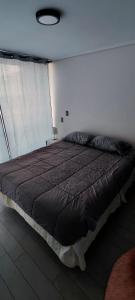 Disfruta de una estadía inolvidable en el corazón de Santiago, Hasta 3 personas