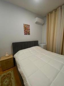 Brixhilda Apartment - Apartmány, Skadar