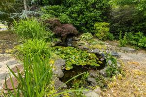 Cozy Coastal Cottage