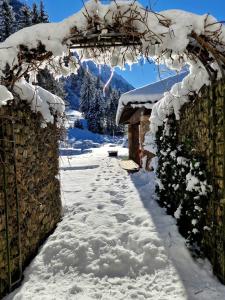 Pension Baranekhof - closest to the Kitzsteinhorn Ski Resort