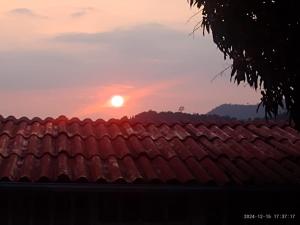 Hospedaje las margaritas