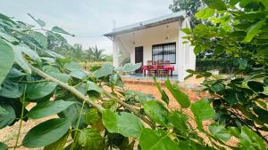 Sigiri Rock View Lodge