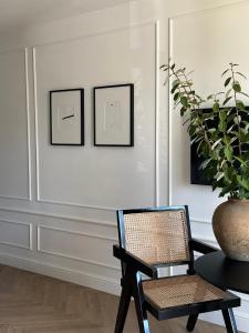 Apartament 77 SKŁAD Koncept