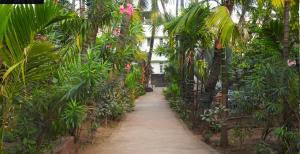 Travel Moody Beach touch Homestay & Campsite