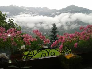 Le Clocher Du Mont Blanc