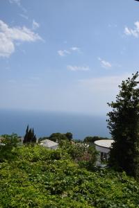 Vera's Traditional House Pelion Greece