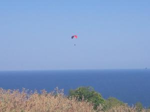 Villa Byala Grape House