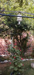 Casa los Ciruelos en El Tambo a 15 minutes from downtown