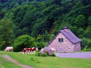 Les chalets de la foret d'Issaux : photos des chambres