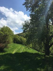 Ferienhaus Hochbrand