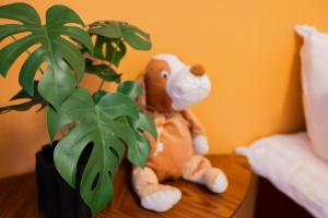 Villa Christmas Star By BookLapland