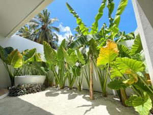 Tropicana Villas Maldives