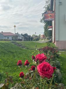 Dzērves apartamenti 2