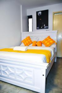 The Connoisseur Haven 1