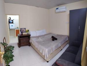 Entire studio apartment near Al ain mall