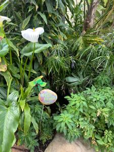 The Garden Pool and Spa house ocean views