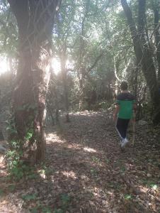 La Casetta Nel Bosco Delle Nereidi