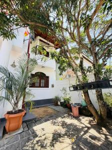 Dutch Fort Heritage Villa - Matara