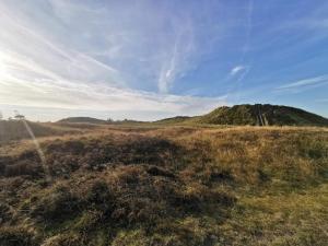 6 person holiday home in Rømø-By Traum