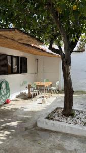 Lemon and avocado house