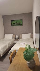 Boutique Apartment 17