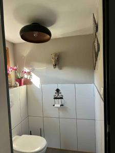 Ardennen Le Chalet Castor - Bomal - Durbuy