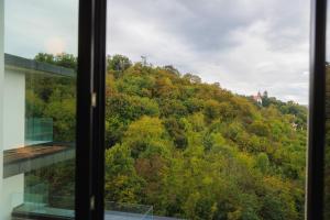 Tiny Vanguard- Cosy flat with free luxe wellness