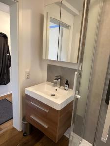 Traumhaftes Apartment mit Exclusiver Ausstattung + WLAN gratis