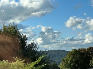 Traumhaftes Apartment mit Exclusiver Ausstattung + WLAN gratis