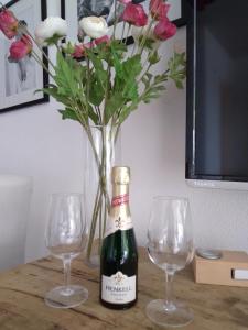 Luxury Studio, Hillside View in Mettau,