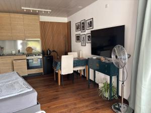 Luxury Studio, Hillside View in Mettau,