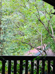 The Green Terrace