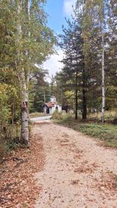 Margarita Mountain Apartments