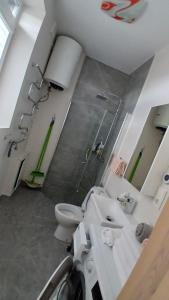 Pajūrio Ąžuolo Istorija 9