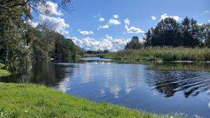 Pajūrio Ąžuolo Istorija 9