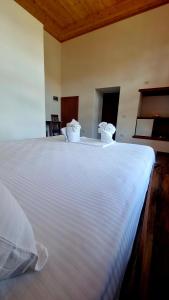 Gjiro's house - Unrated properties in Gjirokastër