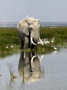 Greenfield Homestay -Full board