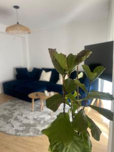 Playa del Cura - Modern, Comfortable and Stylish Retreat