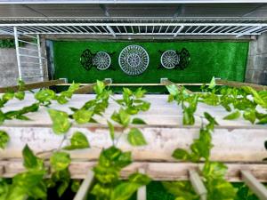 7時IN19時OUT # 池袋駅でのお迎えあり # ヴィラ一軒家貸切 # 駅近8分 # 池袋駅10分 # 上野駅13分 # 7 00 IN19 00 OUT # Pick up Ikebukuro # Whole villa rental # 8 min to station # 10 min to Ikebukuro # 13 min to Ueno