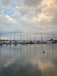 LOTOSS ex ice class Pilot ship