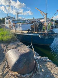 LOTOSS ex ice class Pilot ship
