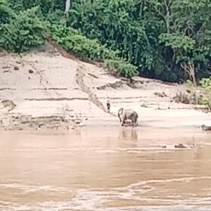 Villa Mekong Guesthouse